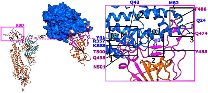 Figure 5.