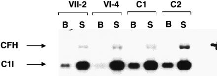 Figure  6