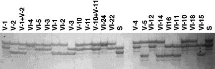 Figure  2