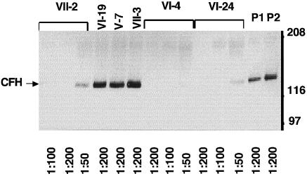 Figure  4