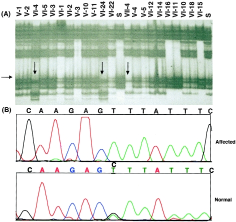 Figure  3