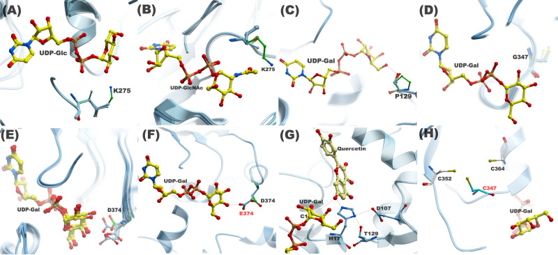 Figure 3.