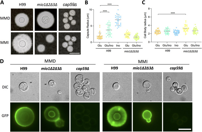 FIG 3