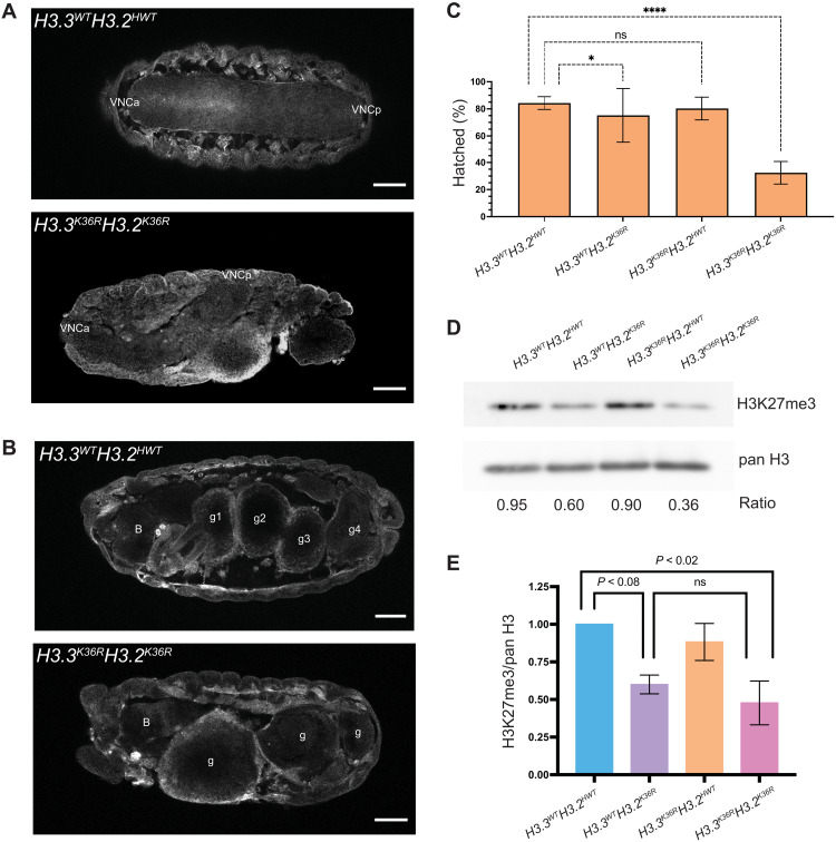 Fig. 6.