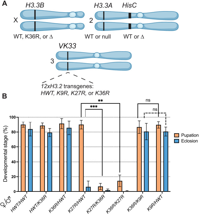 Fig. 1.