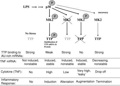 FIG. 8.