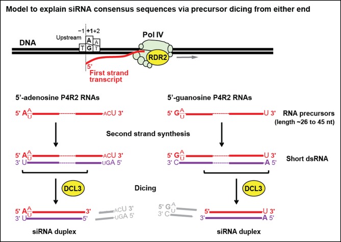 Figure 10.