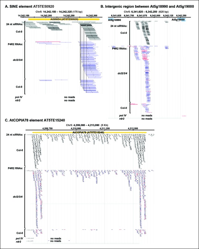 Figure 5—figure supplement 1.