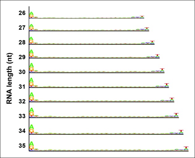 Figure 7—figure supplement 1.