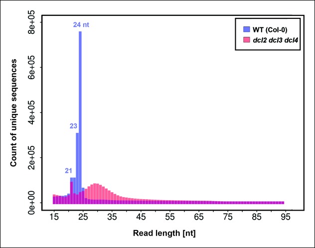 Figure 3—figure supplement 1.