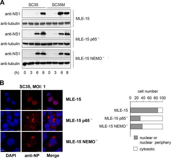 FIG 3