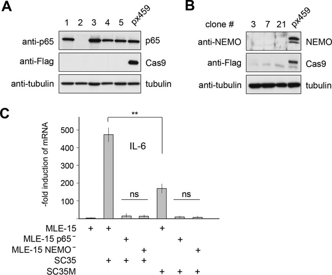 FIG 1