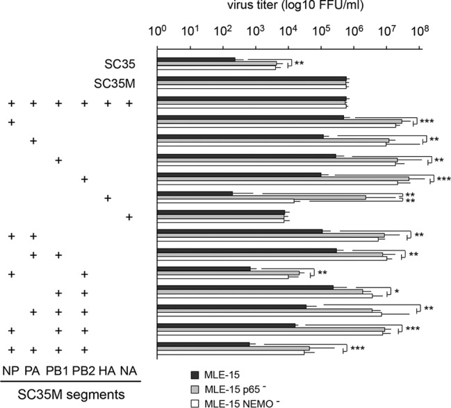 FIG 7