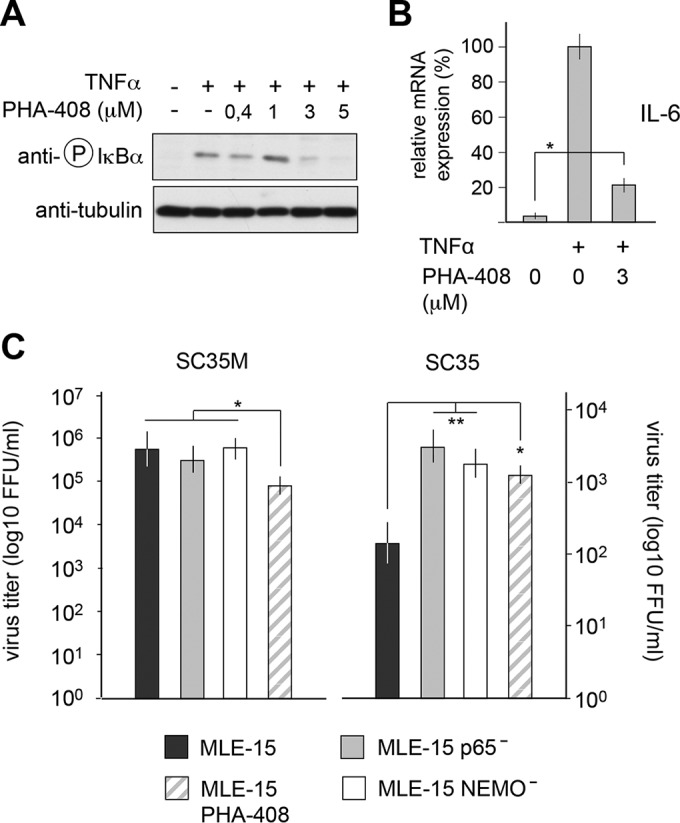 FIG 4