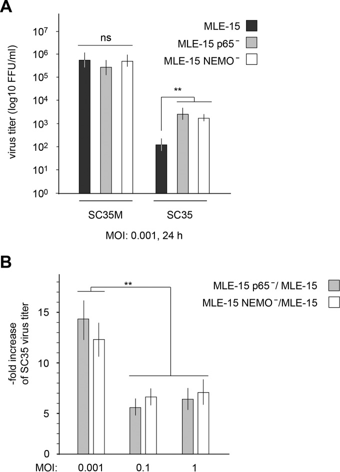 FIG 2