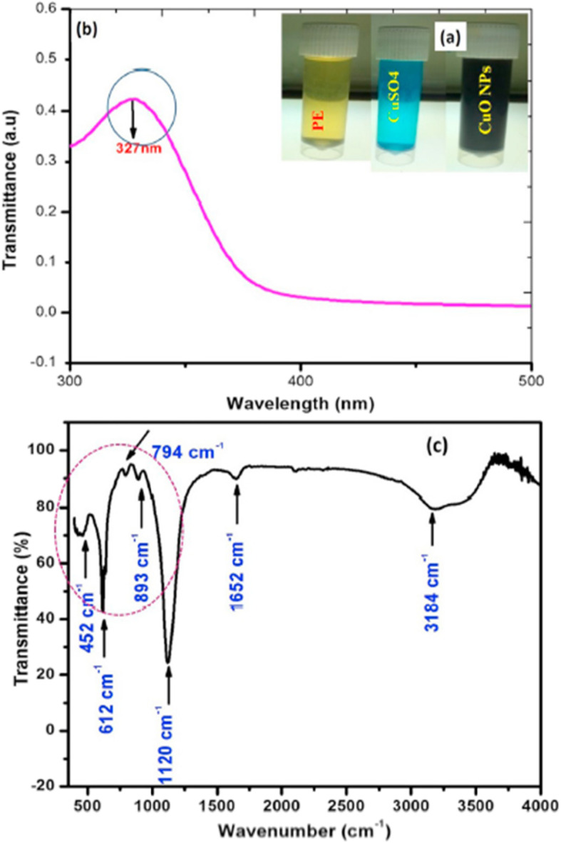 Fig. 3