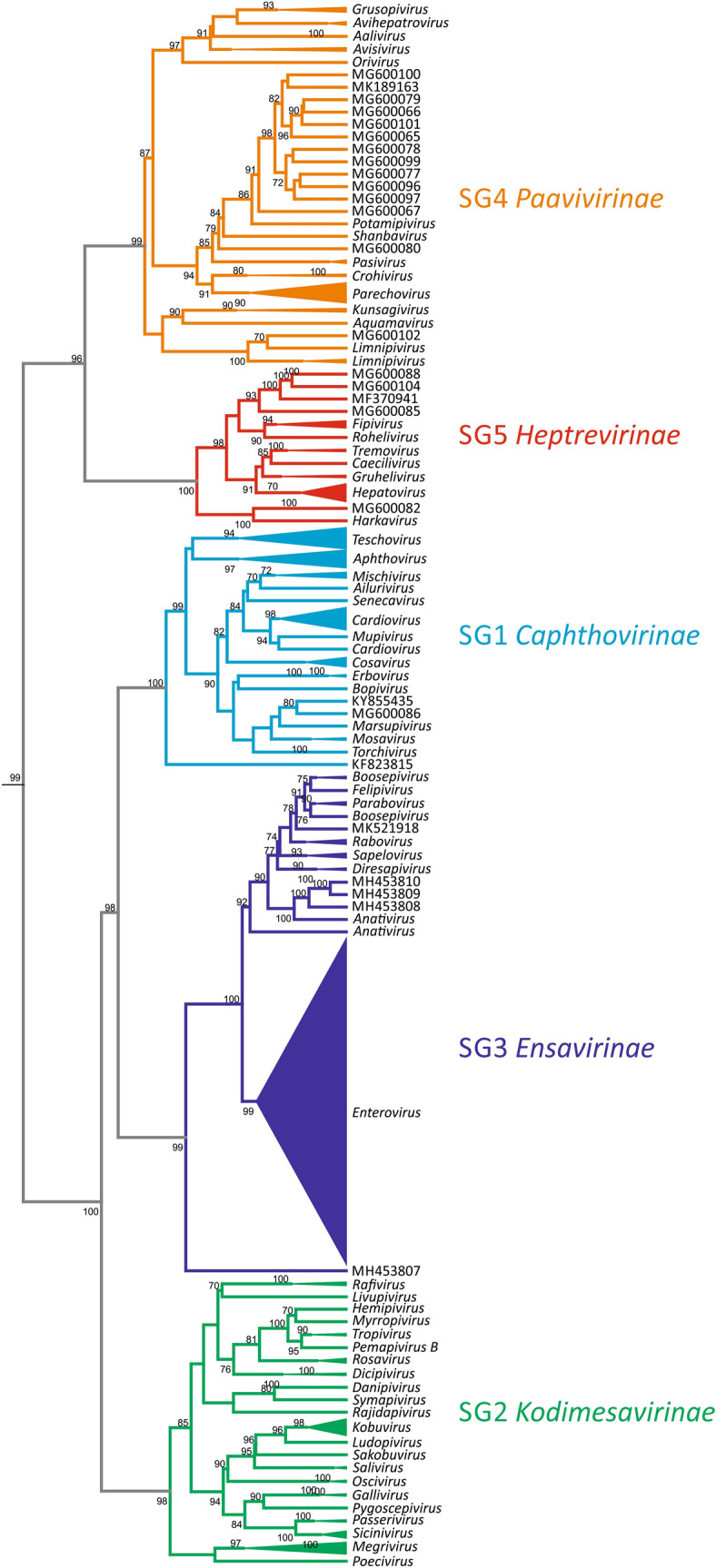 Fig. 4