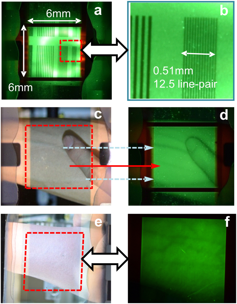 Figure 6