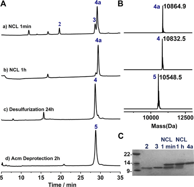 FIGURE 3