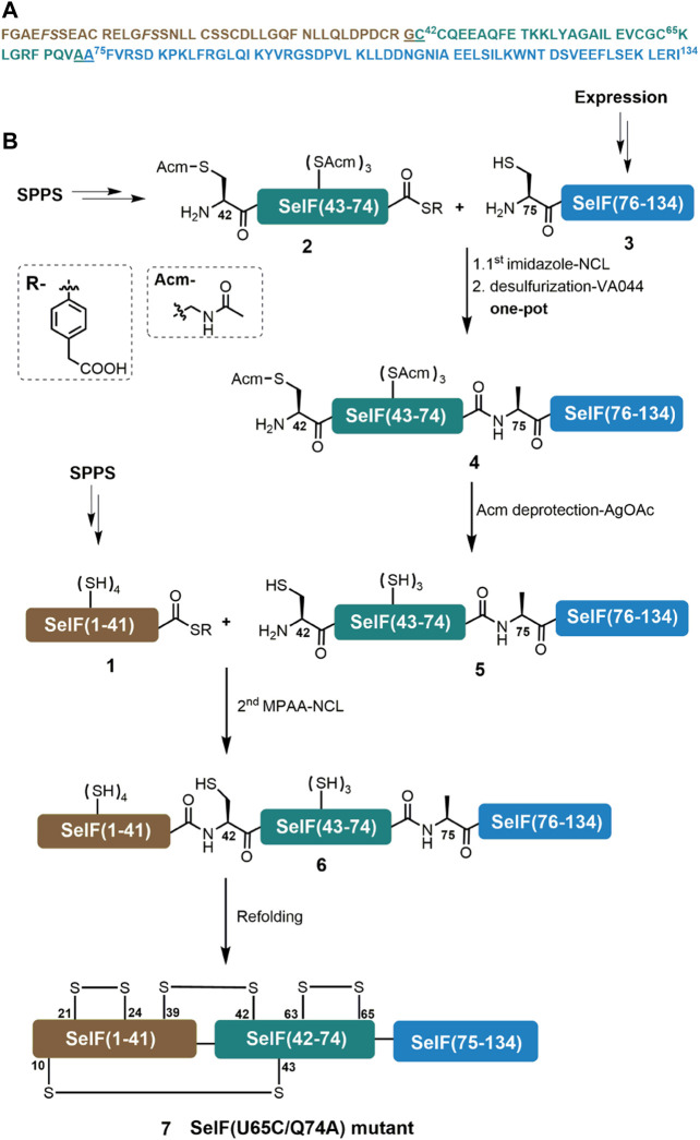 FIGURE 1