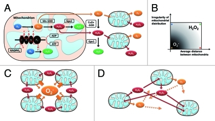 Figure 1.