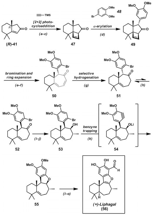 Scheme 8