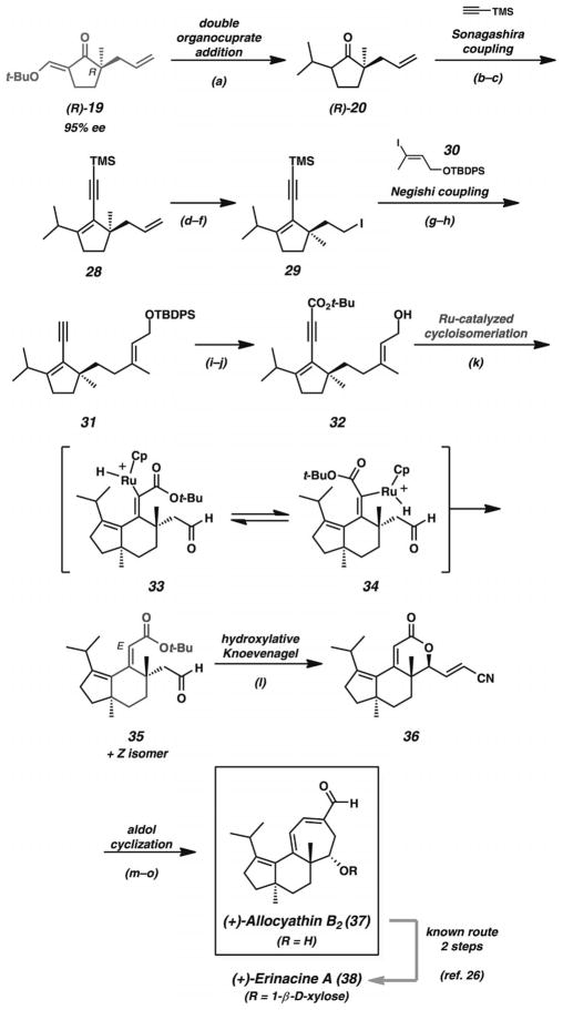 Scheme 6