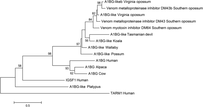 Figure 5