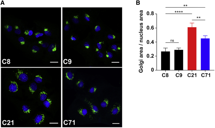 Figure 5