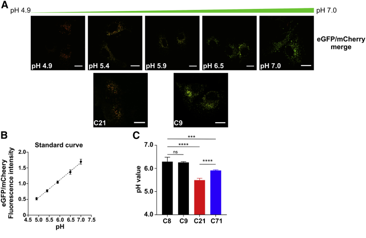 Figure 6