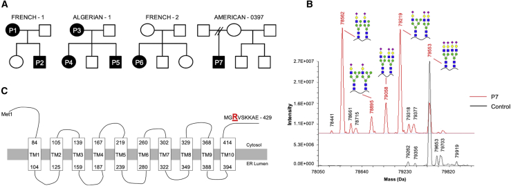 Figure 1