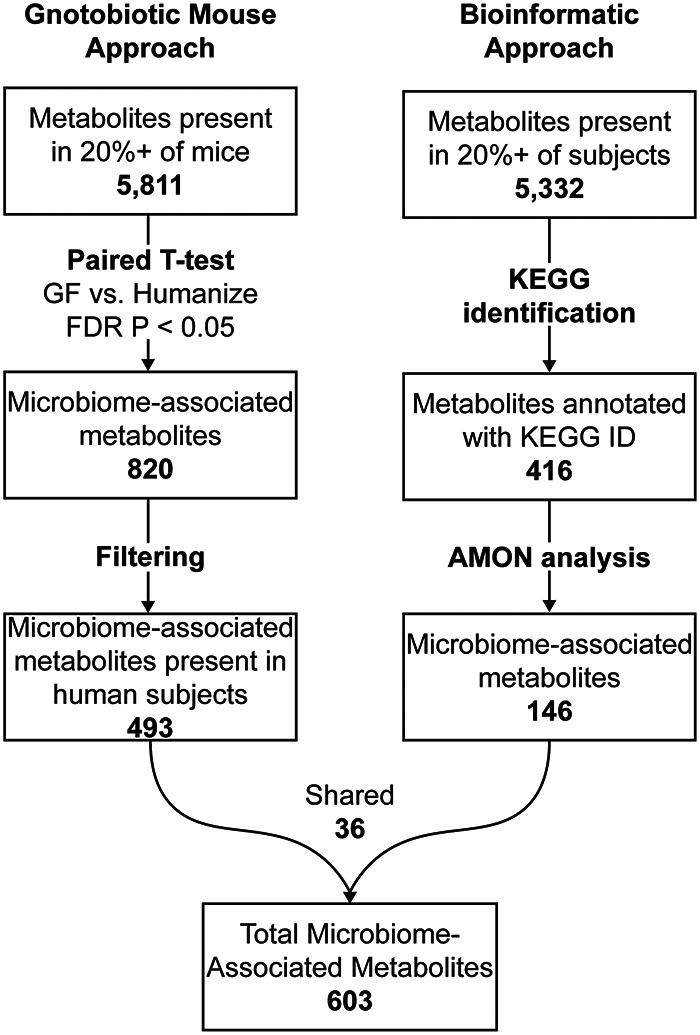 FIG 4