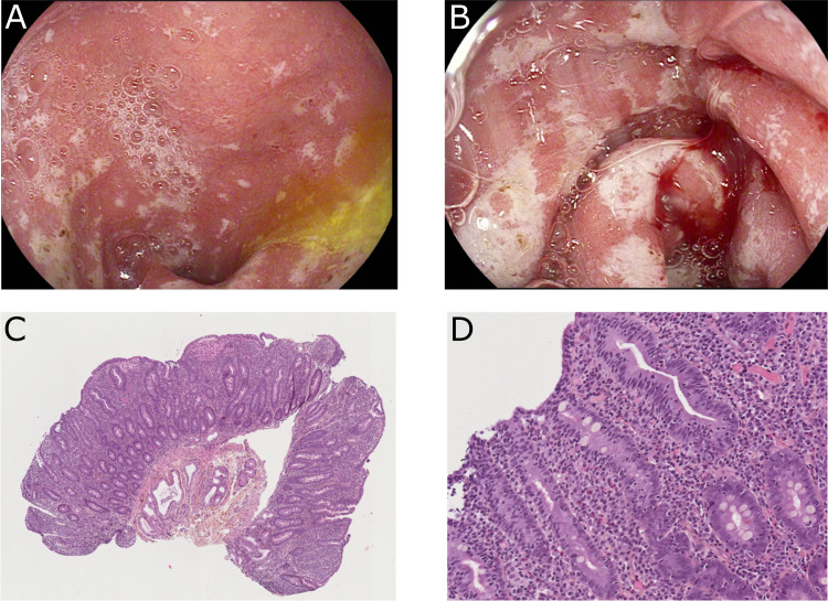 Figure 1