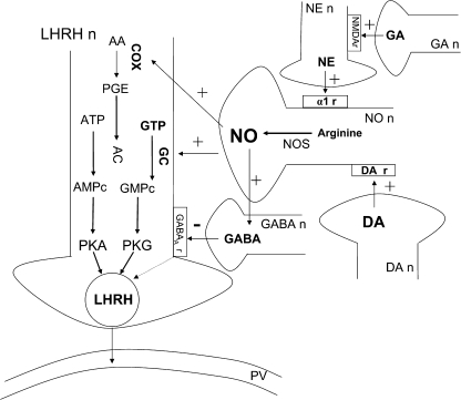 FIG. 1.