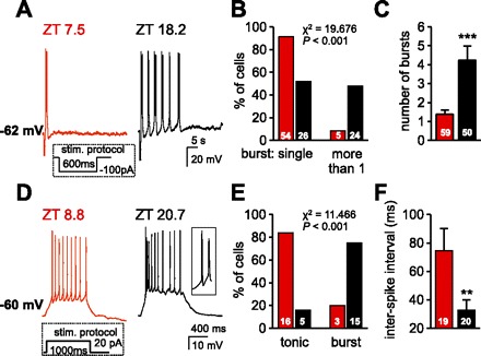 Fig. 6.