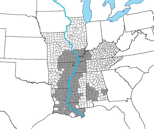 Figure. The map shows location of Delta counties (n = 252) and non-Delta counties (n = 468) in 8 states (Alabama, Arkansas, Illinois, Kentucky, Louisiana, Mississippi, Missouri, and Tennessee) that contain parts of the Mississippi Delta Region. Delta counties adjoin the Mississippi River or counties adjacent to the river with the exception of counties in western Alabama, which are classified as part of the region but do not adjoin the river or counties adjacent to the river.