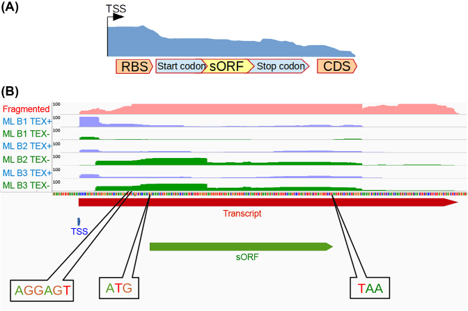 Figure 6: