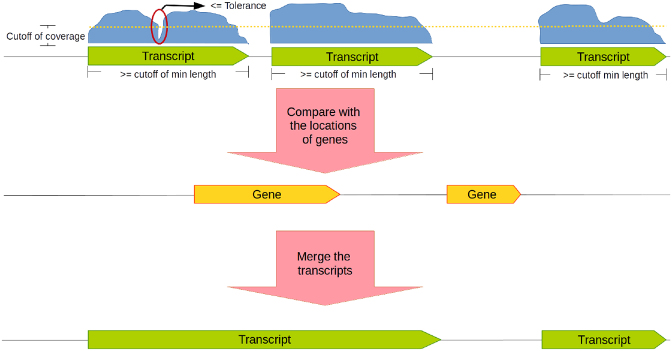 Figure 3: