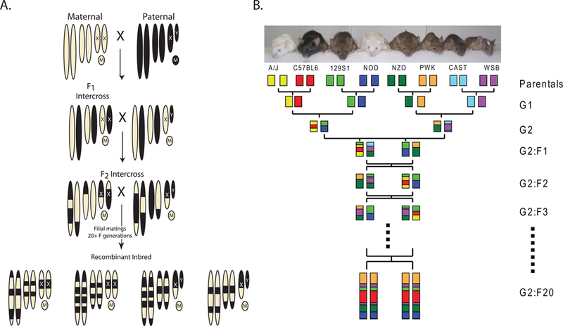 Figure 2: