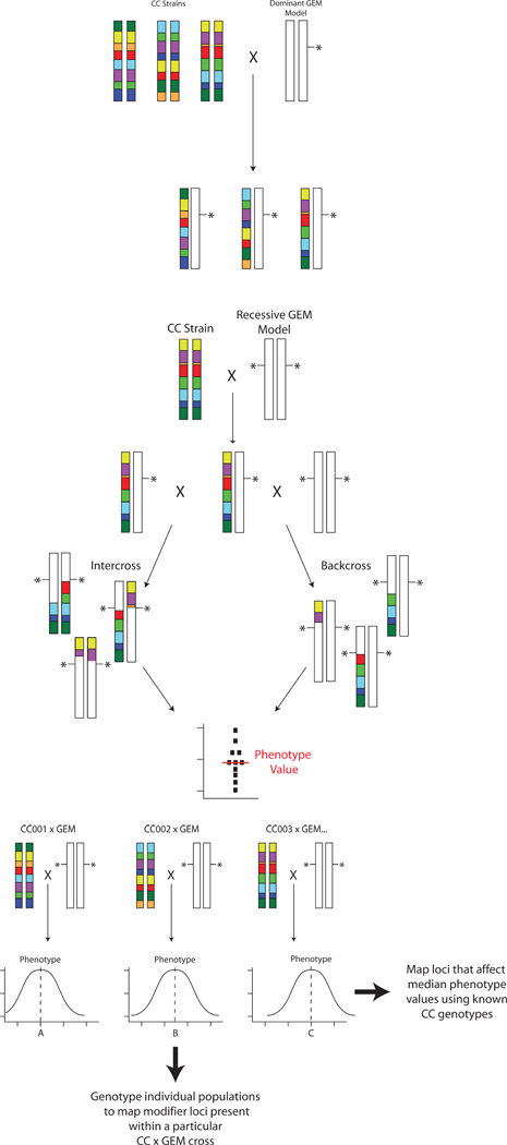 Figure 3: