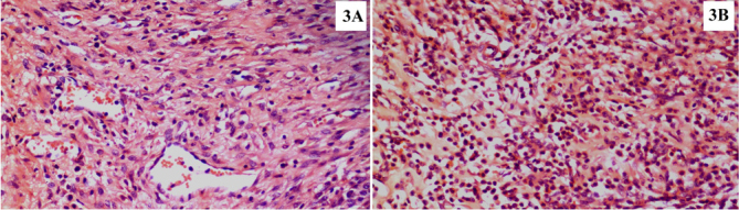 Figure 4. a, b