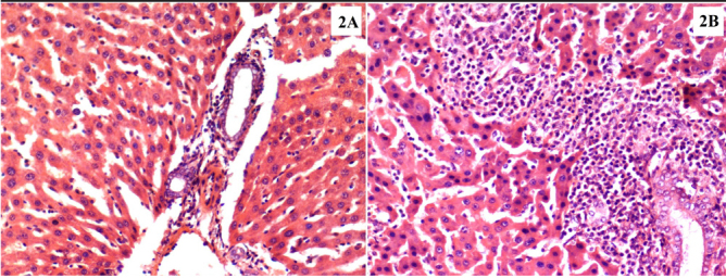 Figure 3. a, b