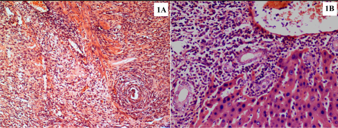 Figure 2. a, b