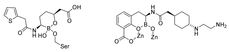 Figure 25