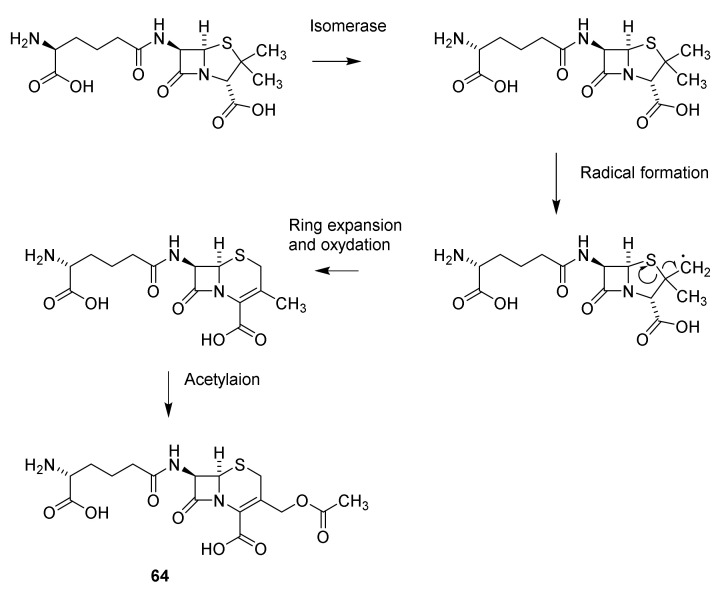 Scheme 9