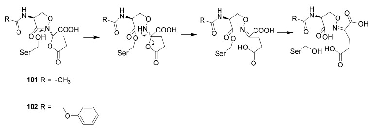 Scheme 13