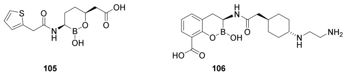 Figure 24