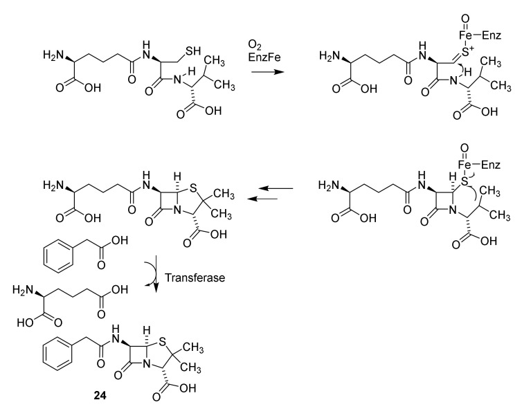 Scheme 5