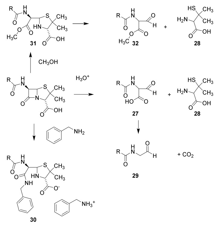 Scheme 2