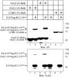 Figure 5: